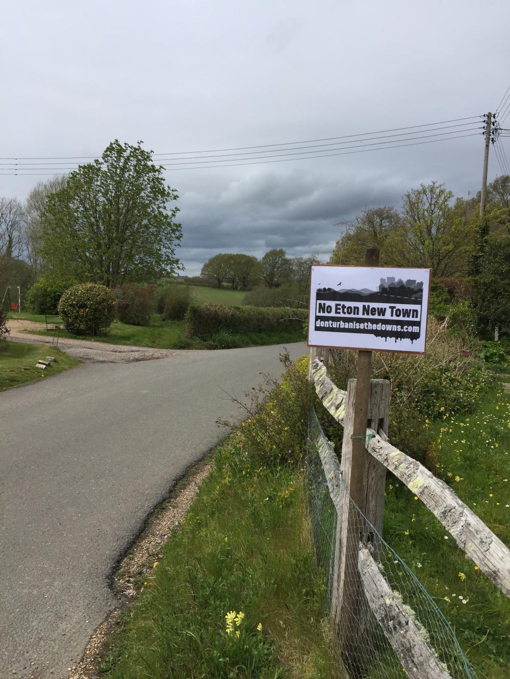 cowslips and posters in Chiltington Lane May 2021