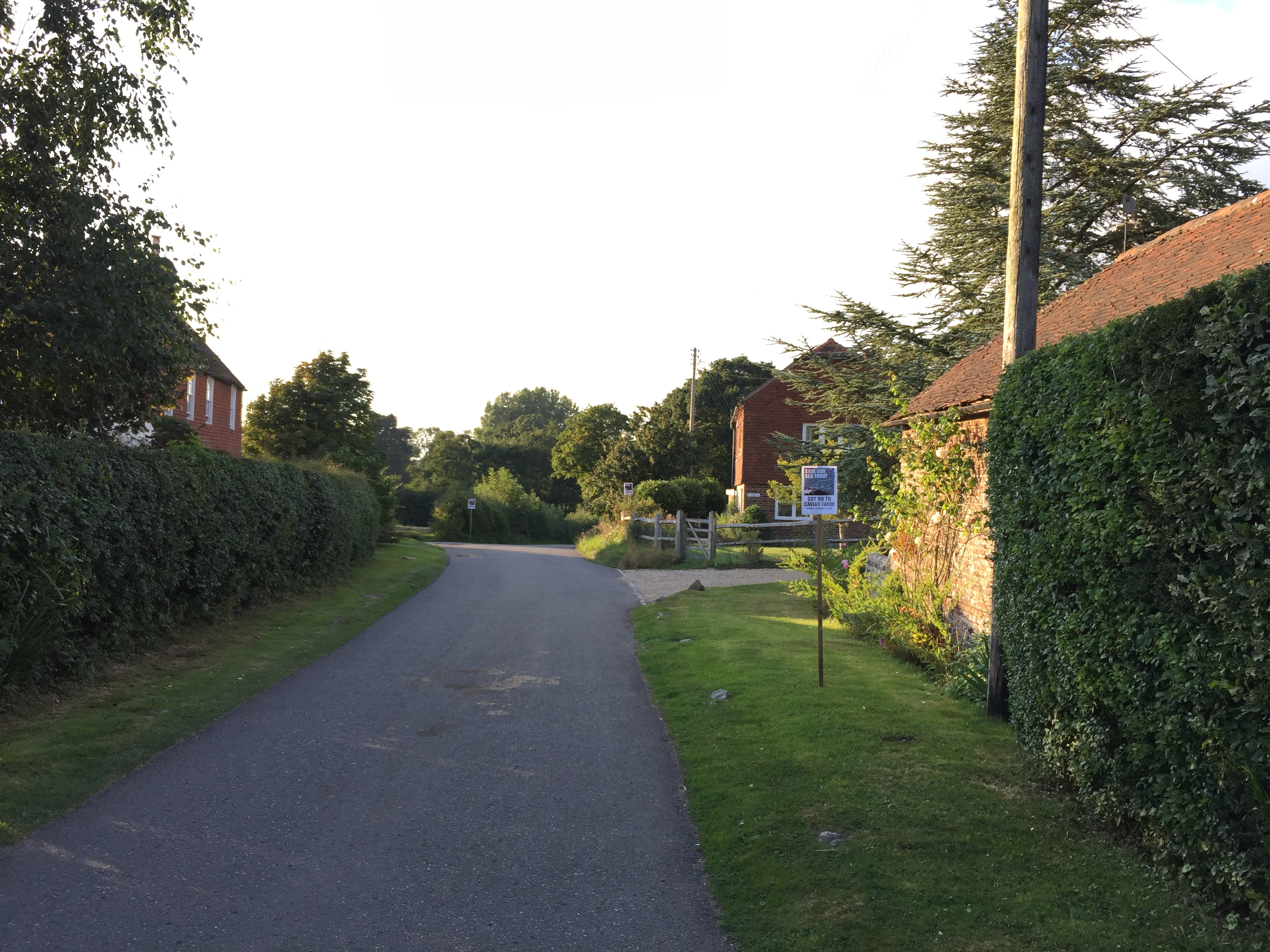 looking down Chiltington Lane Kemps on the left , Burrells and Upper Burrells on right