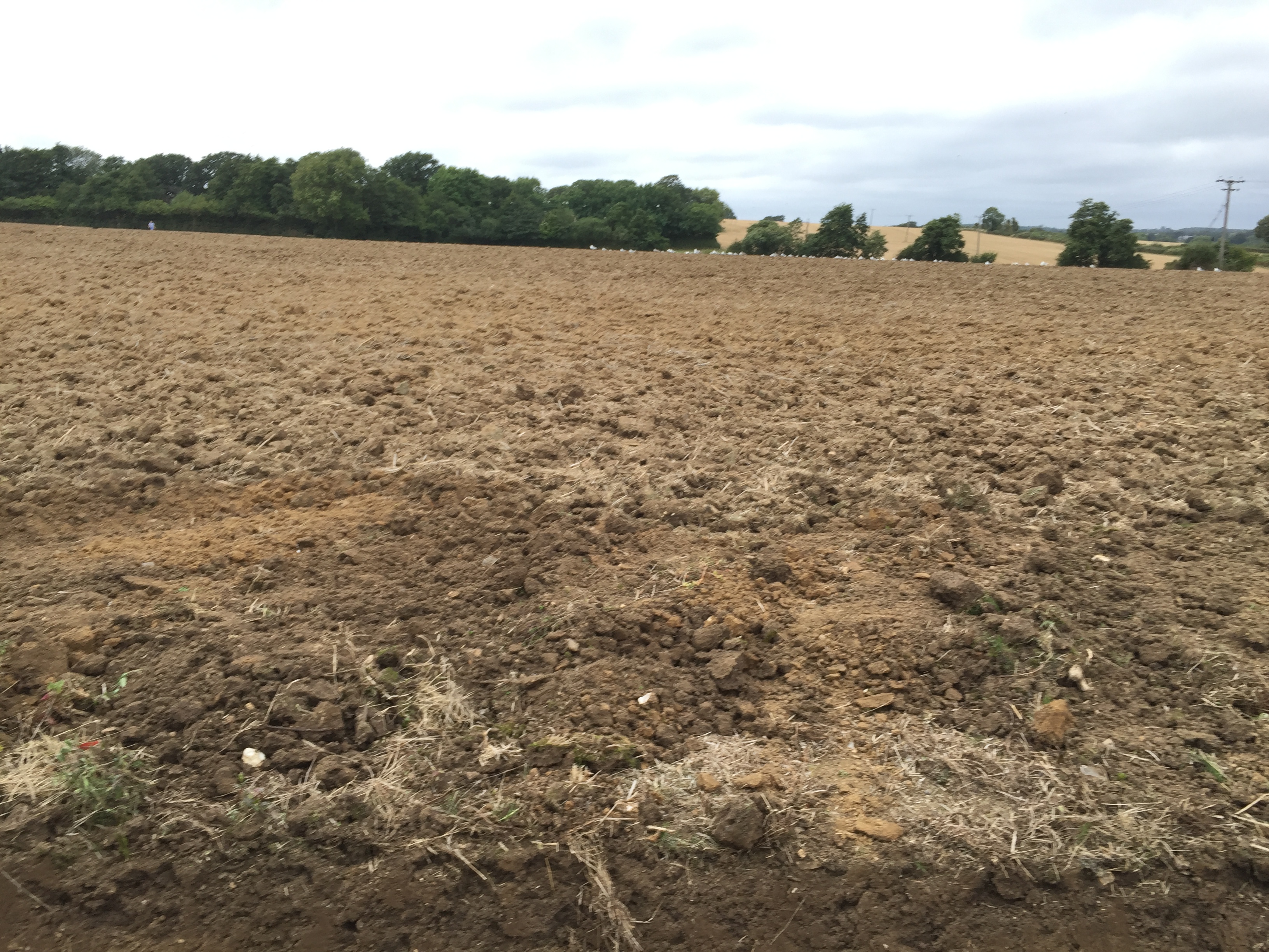 East Chiltington Spooners Farm looking  towards Plumpton
