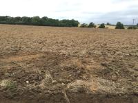 looking westwards over a field of Spooners Farm 