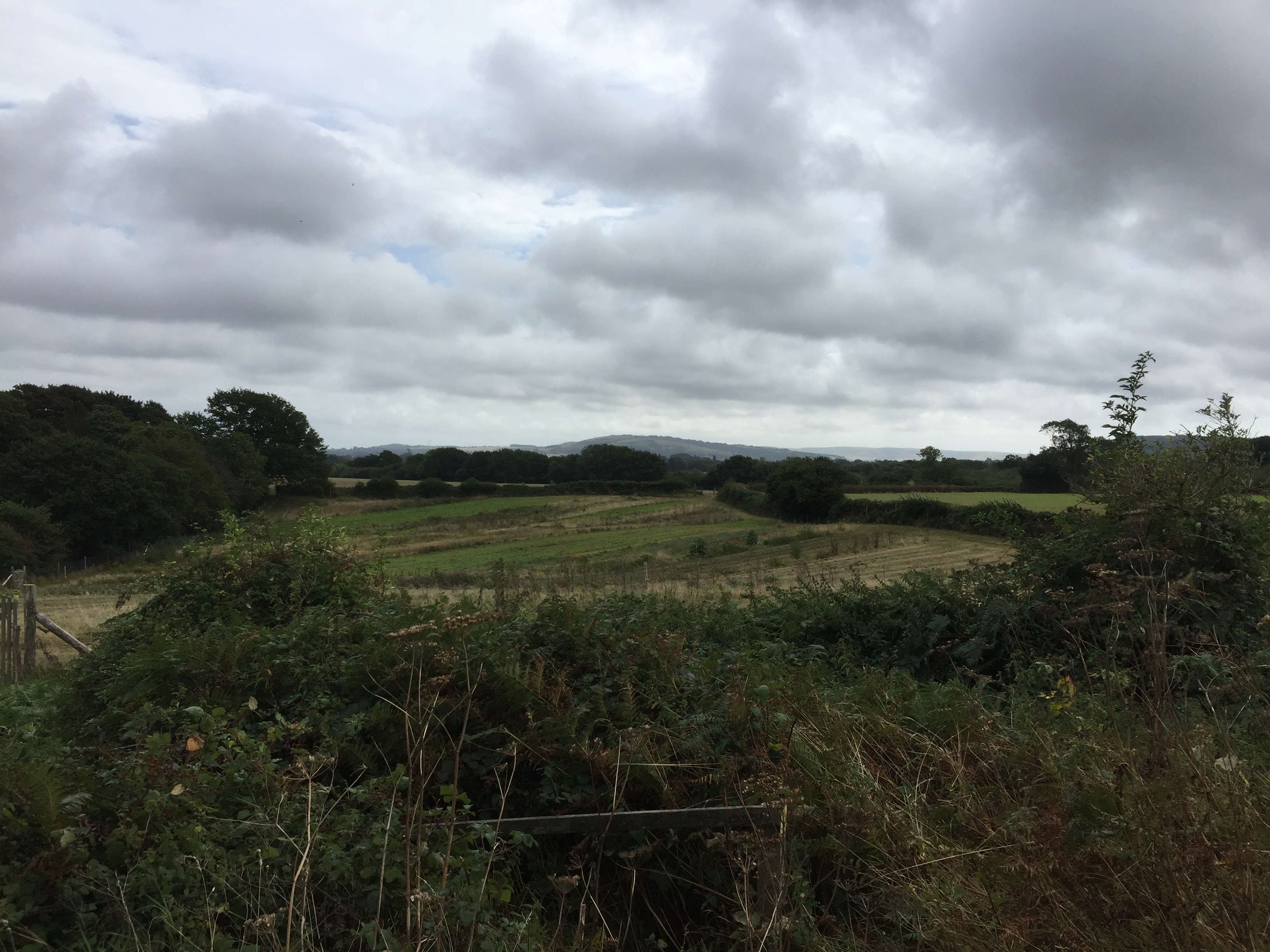 East Chiltington survey walk - looking South Eastwards towards Newhaven