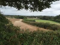 Northwards  back towards  the railway line and Chiltington Lane