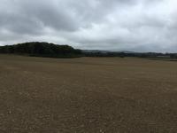 looking South Westward along  the edge of