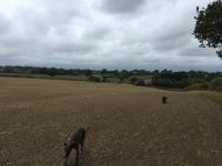  looking  Westwards towards Wootton