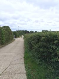 track from Wootton Farm to Novington Lane