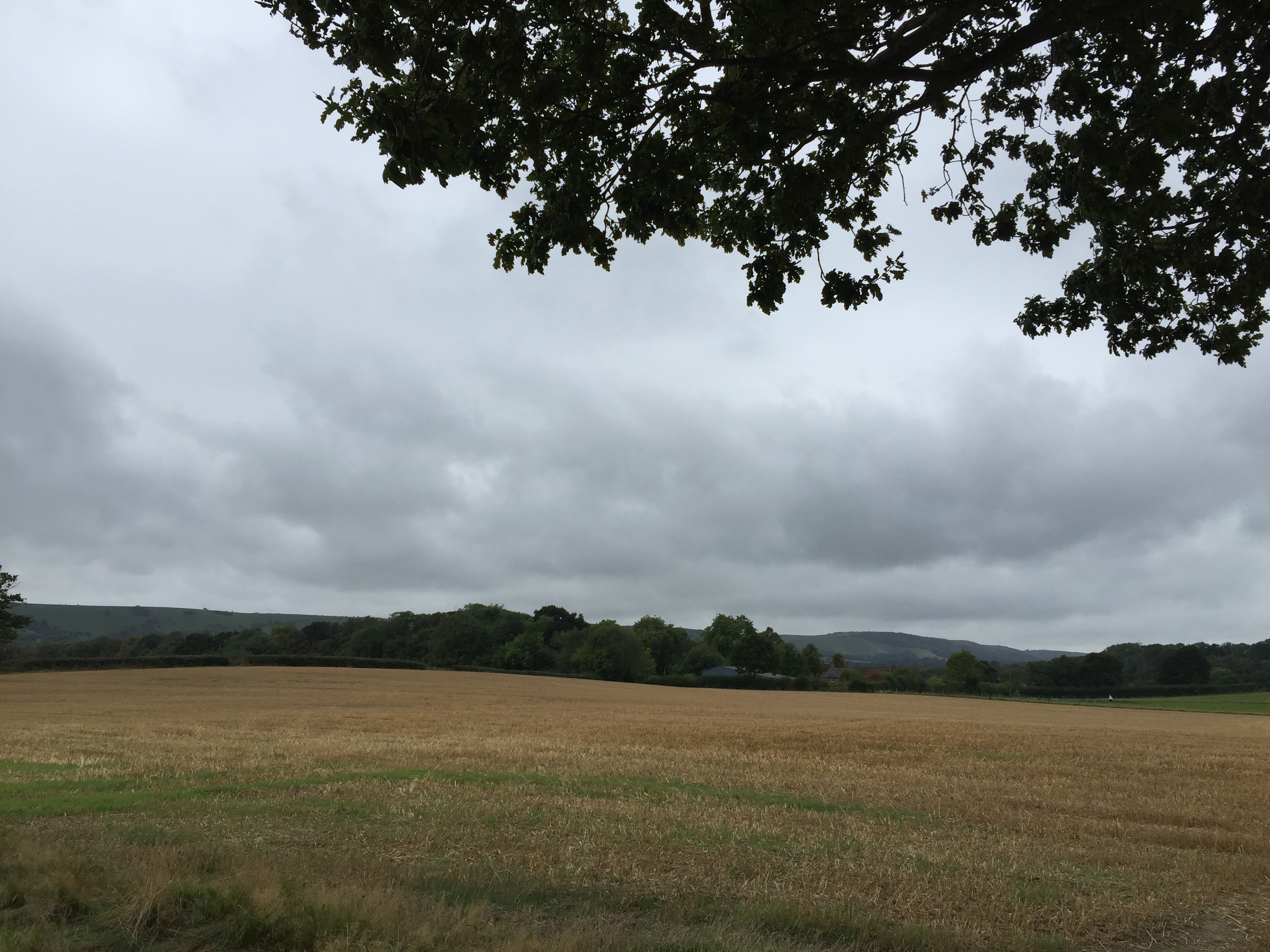 over the stile at Novington Lane looking at the Downs in East Chiltington