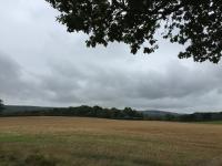 nearly finished the walk