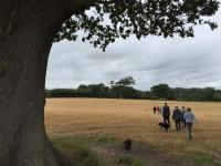heading home after the survey walk
