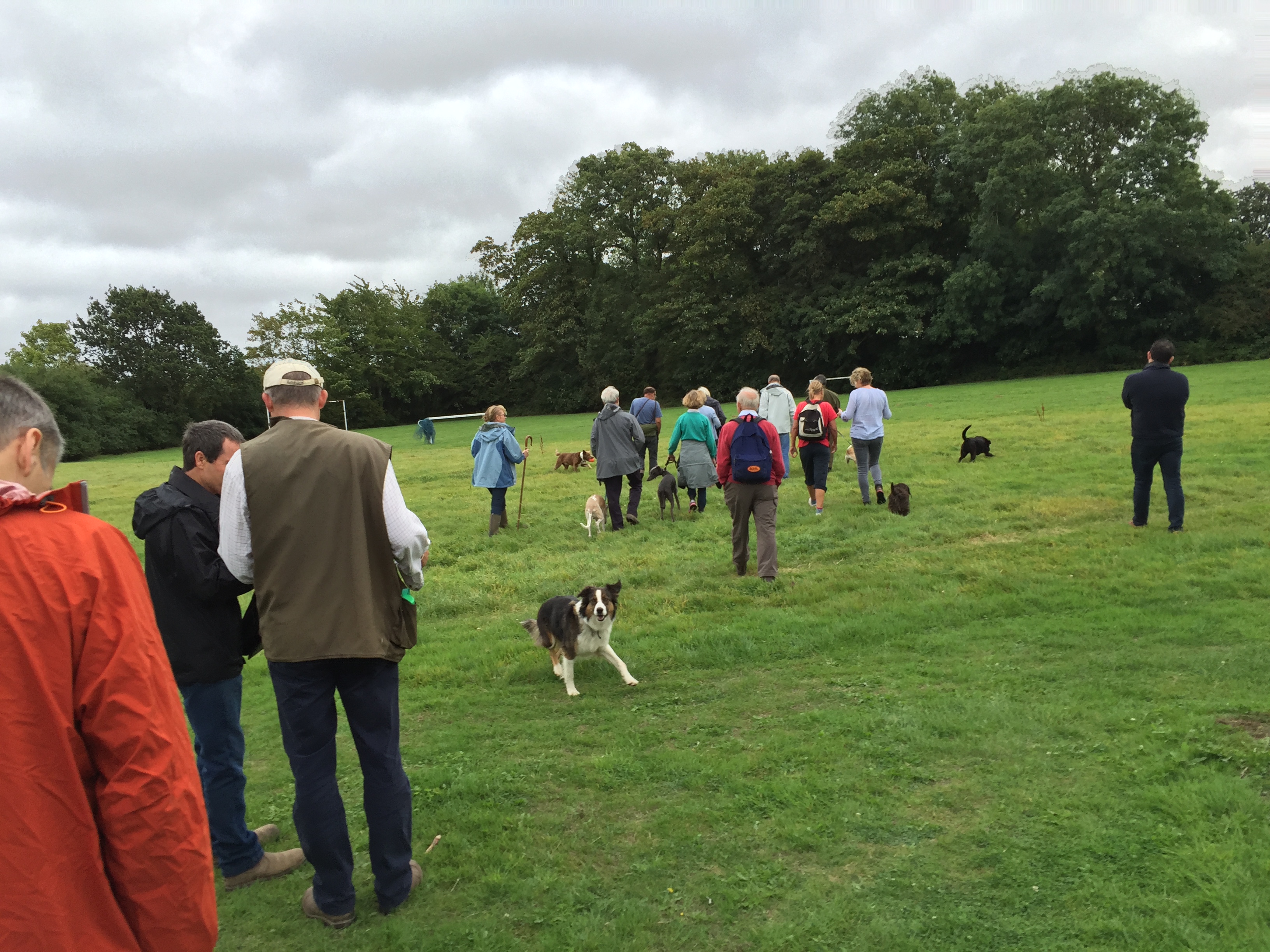 like all good walks there were more of us if you count the dogs