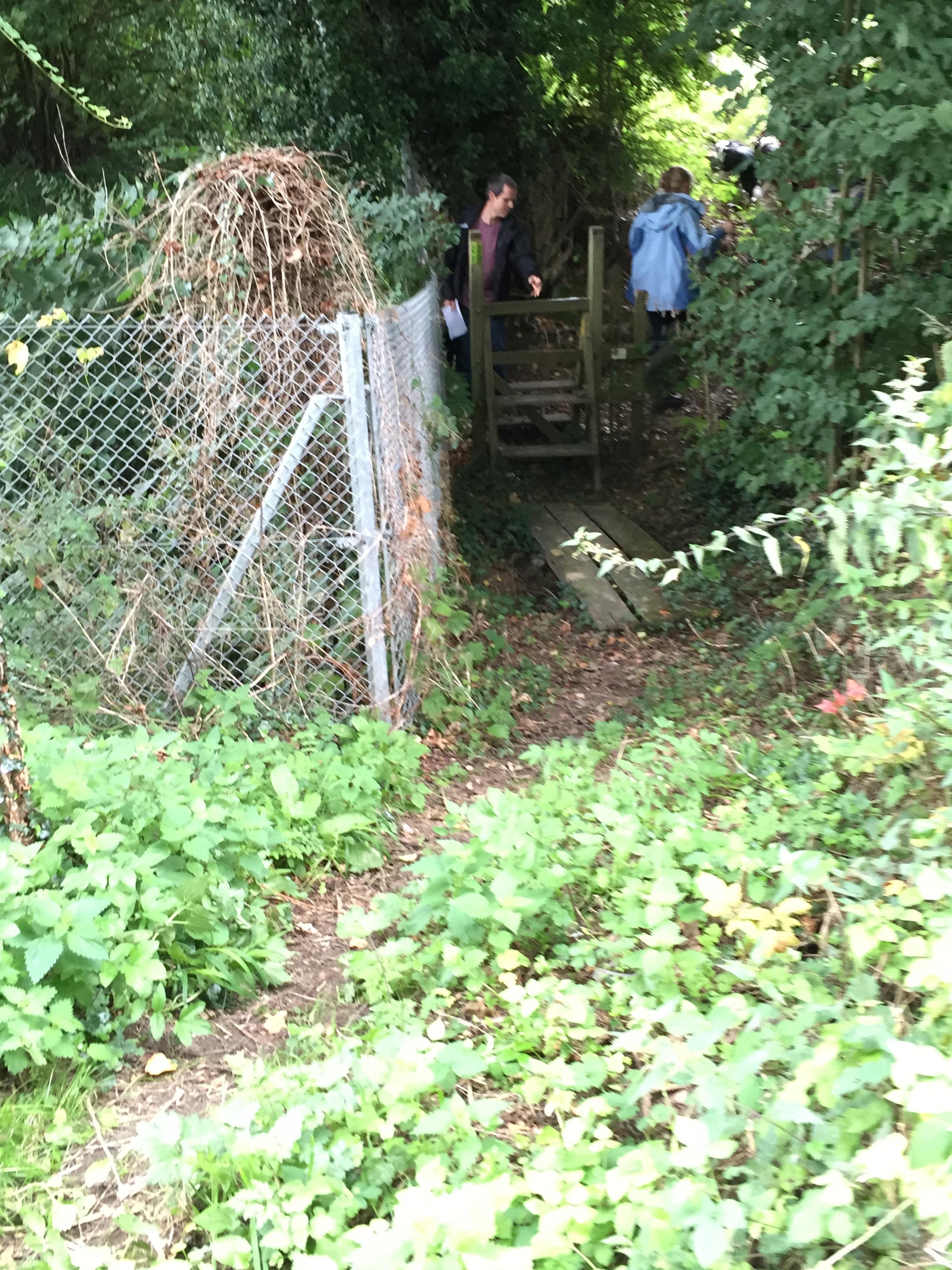 going up the railway embankment from Novington Lane