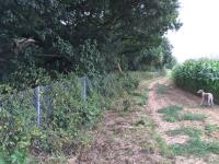 along the railway track between Novington Lane and Chiltington Lane