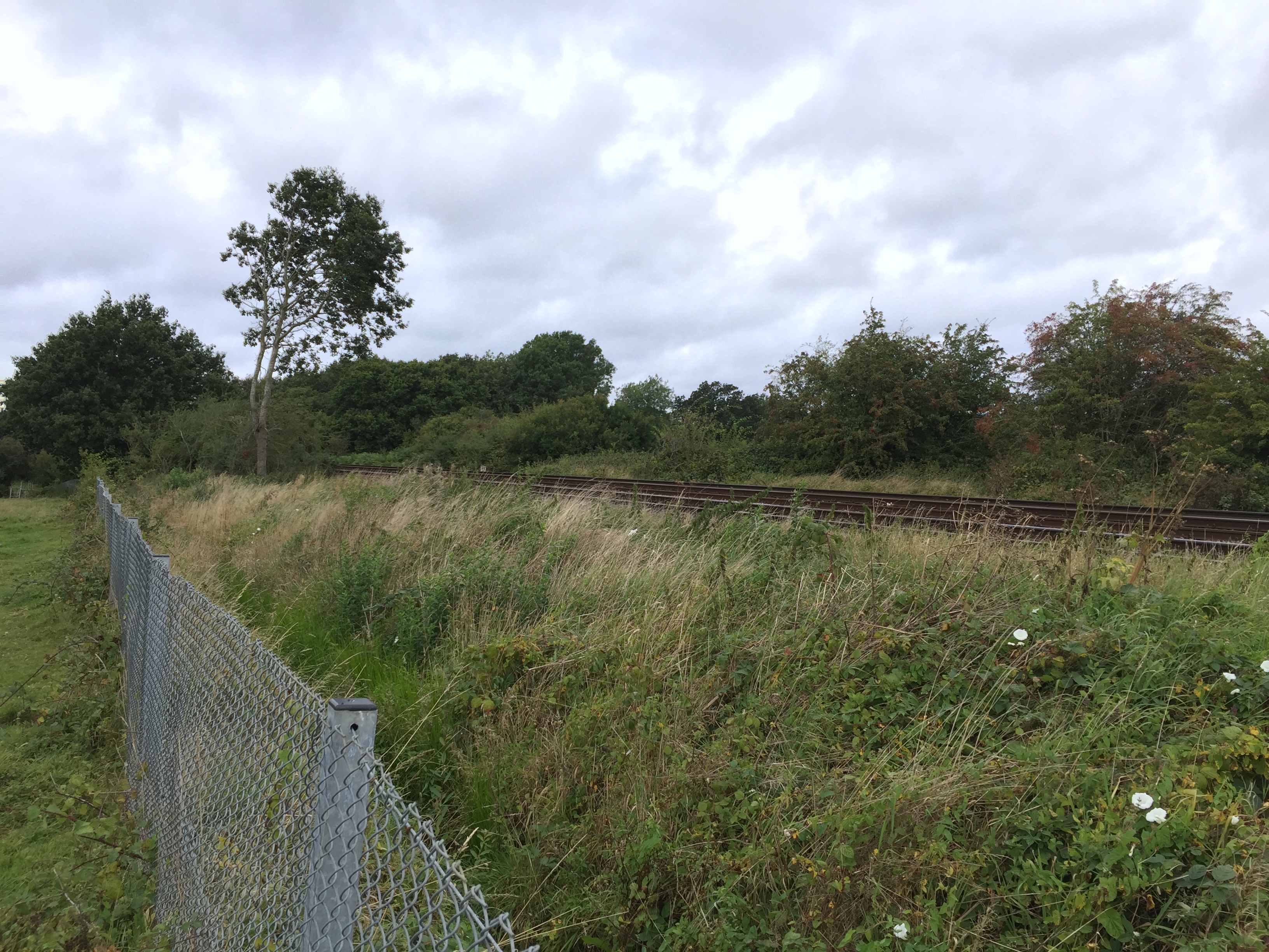 another view of the rail tracks
