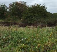 some views of the railway