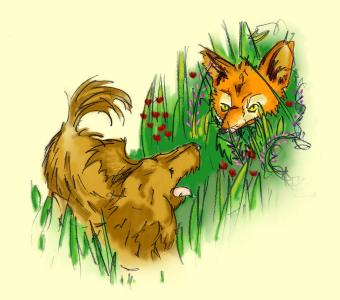 click to  expand -  We're not chasing foxes tonight