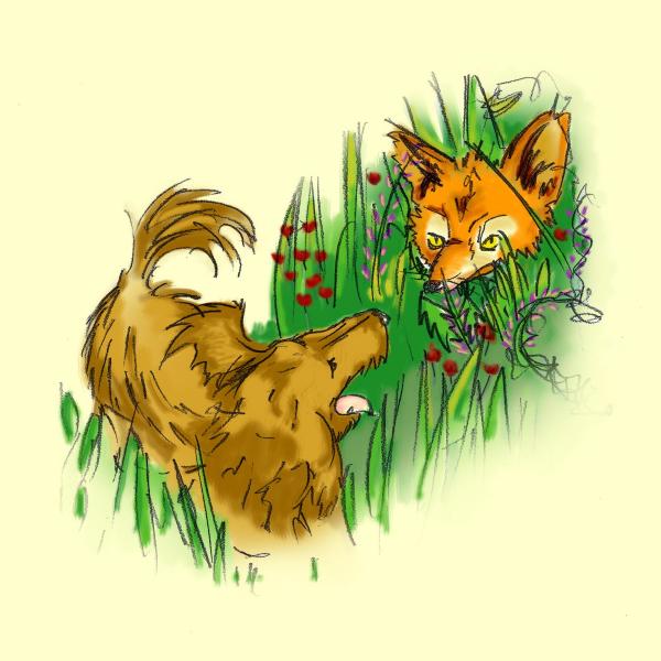 We're not chasing foxes tonight