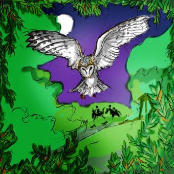 click to  expand - Mervyn's barn owl had seen the goblins